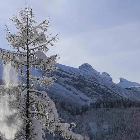 Chalet Snoconnells *