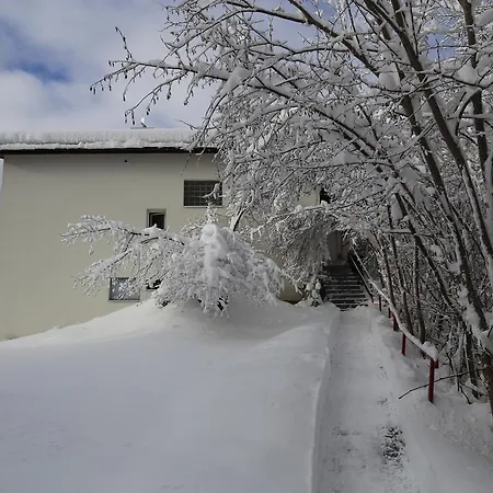 Snoconnells * Engelberg