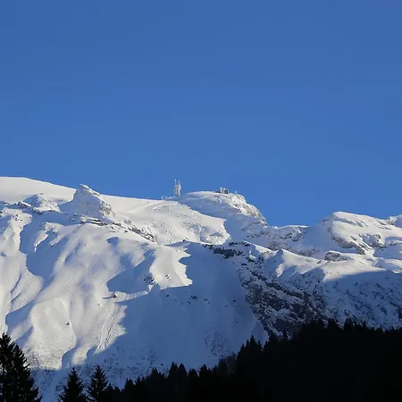 Snoconnells *